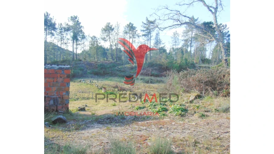Terreno para Venda em Cumieira Foto 11