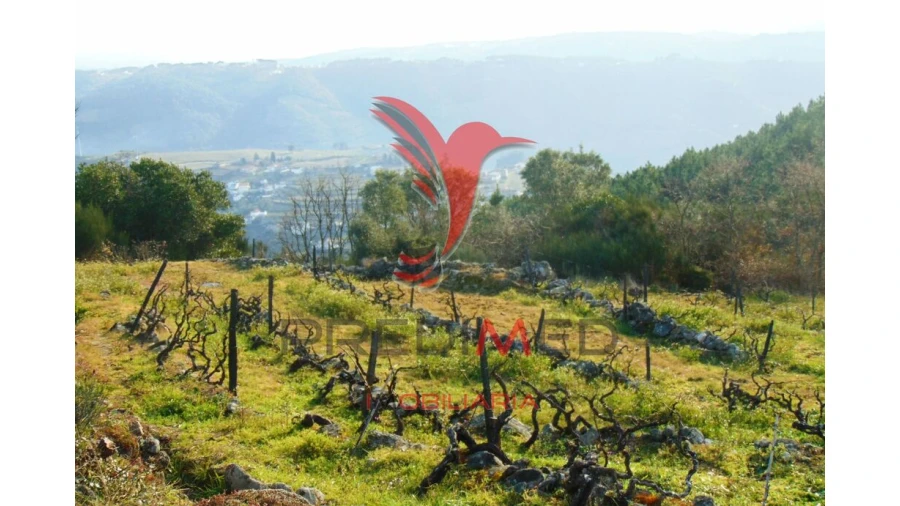 Terreno para Venda em Cumieira Foto 20