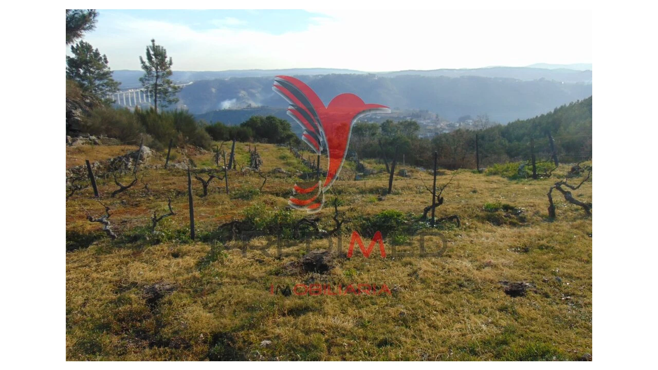 Terreno para Venda em Cumieira Foto 19