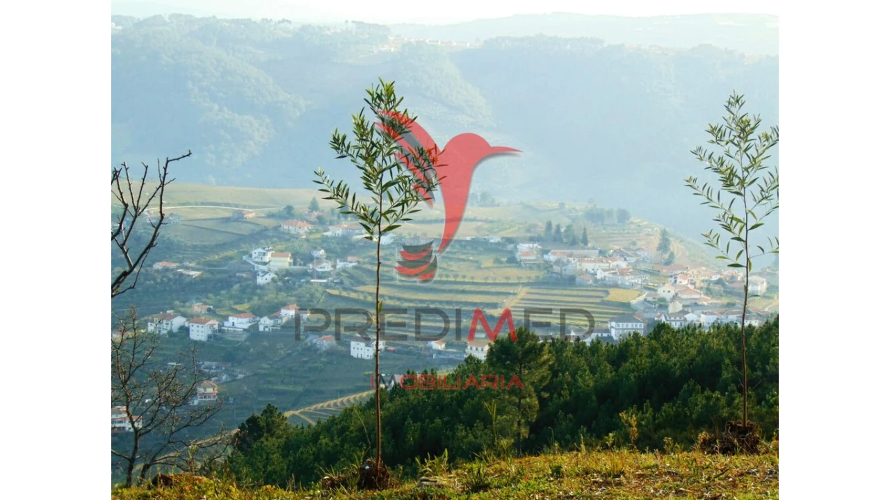 Terreno para Venda em Cumieira Foto 15