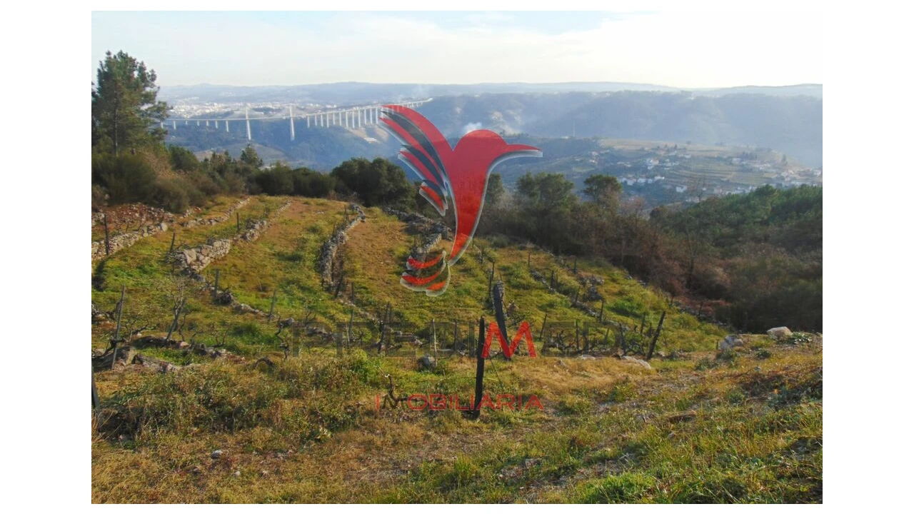Terreno para Venda em Cumieira Foto 18