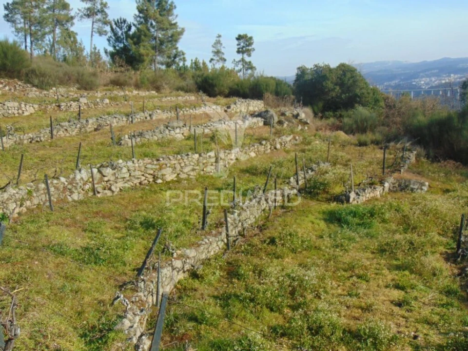 Terreno para Venda em Cumieira Foto 12
