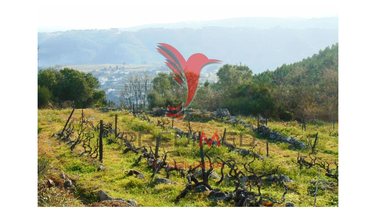 Terreno para Venda em Cumieira Foto 20