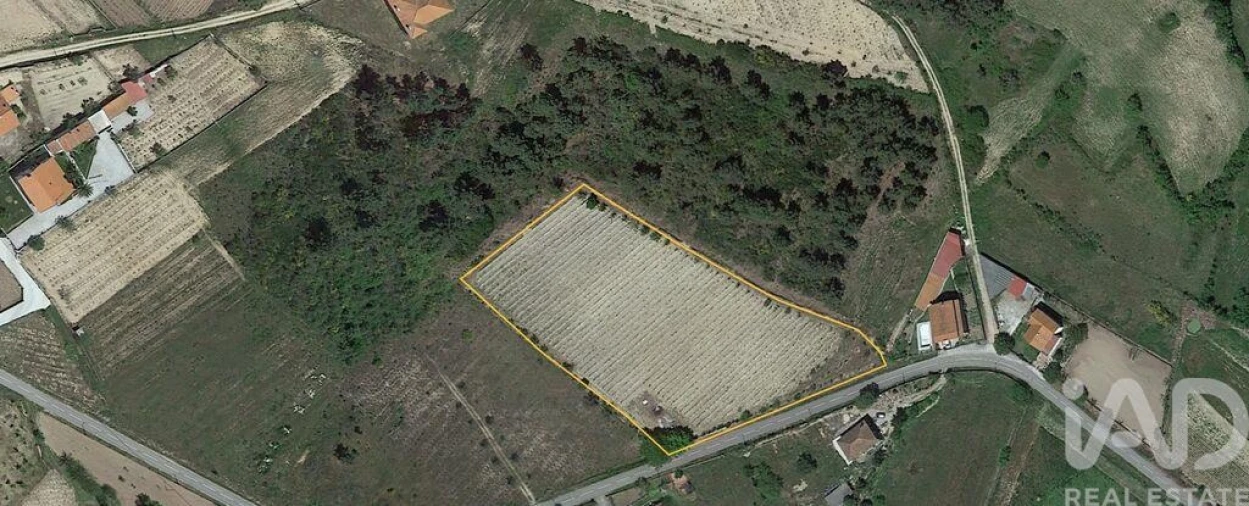 Terreno para Venda em Ervededo Foto 9