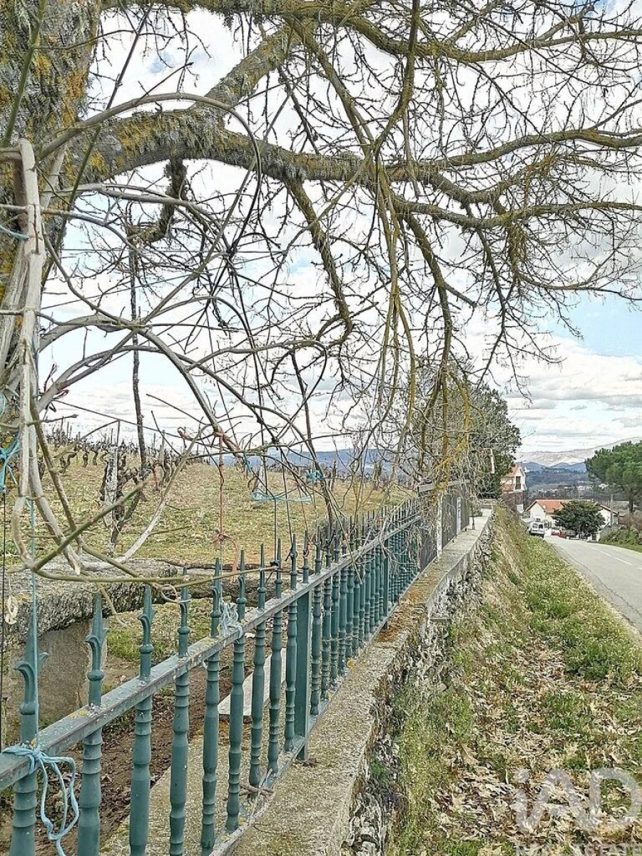Terreno para Venda em Ervededo Foto 8