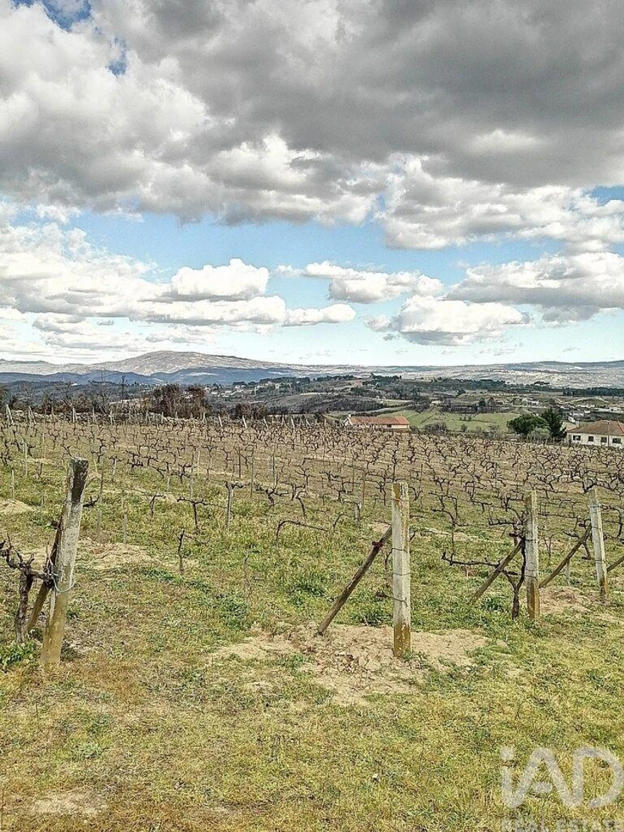 Terreno para Venda em Ervededo Foto 6