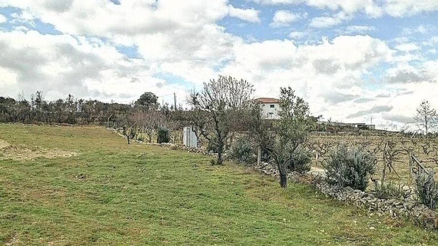 Terreno para Venda em Ervededo