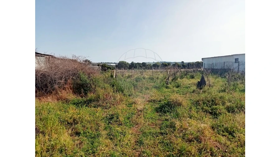 Terreno para Venda em Aveiras de Cima Foto 9