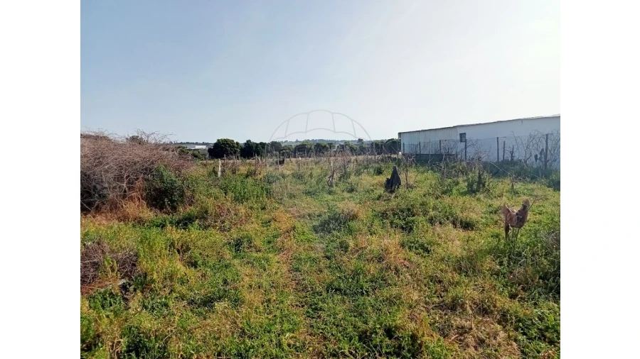 Terreno para Venda em Aveiras de Cima Foto 5