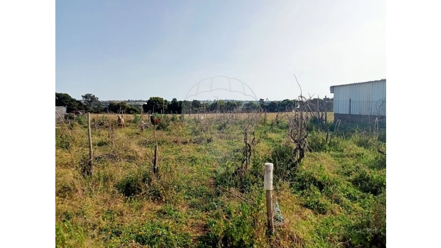 Terreno para Venda em Aveiras de Cima Foto 7