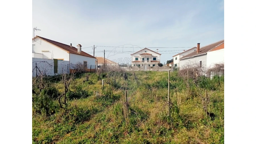 Terreno para Venda em Aveiras de Cima Foto 6