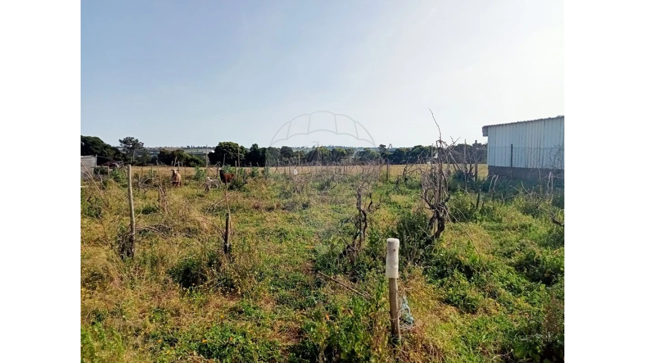 Terreno para Venda em Aveiras de Cima Foto 7