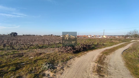 Terreno para Venda em Poceirão e Marateca