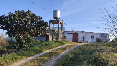 Terreno para Venda em Poceirão e Marateca