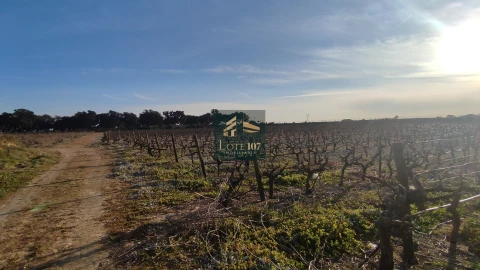 Terreno para Venda em Poceirão e Marateca