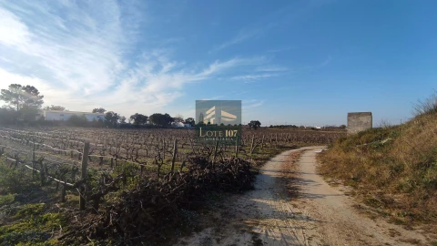 Terreno para Venda em Poceirão e Marateca