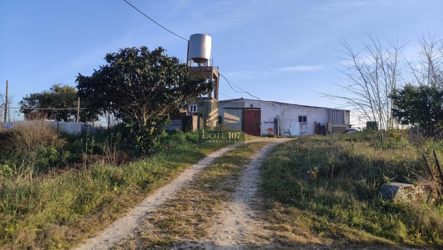 Terreno para Venda em Poceirão e Marateca Foto 4
