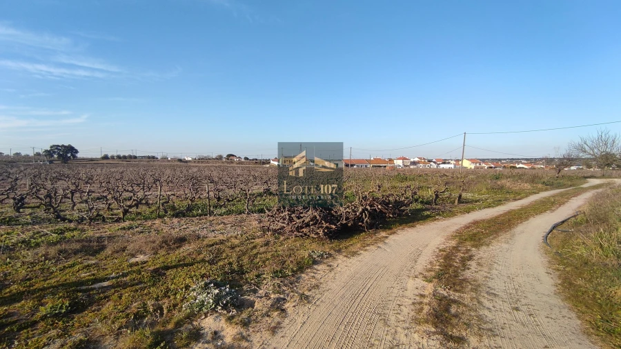 Terreno para Venda em Poceirão e Marateca Foto 3