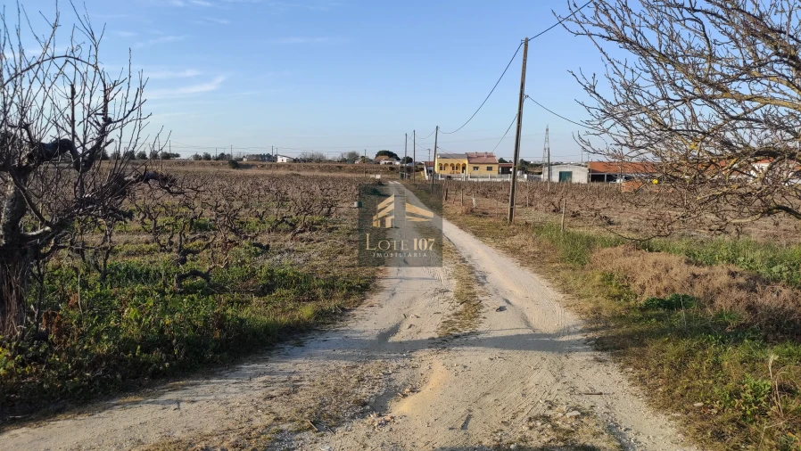 Terreno para Venda em Poceirão e Marateca Foto 7
