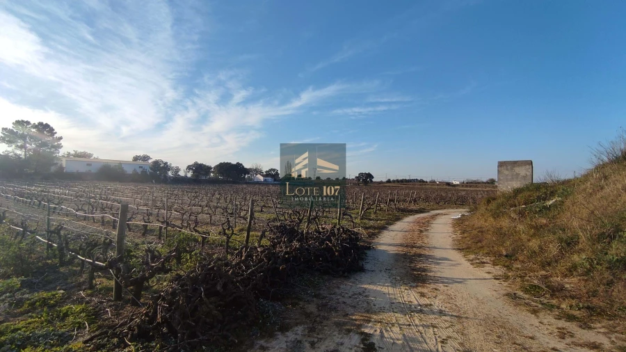 Terreno para Venda em Poceirão e Marateca Foto 6