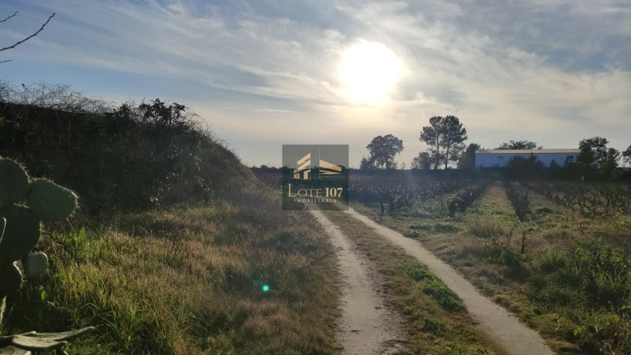 Terreno para Venda em Poceirão e Marateca Foto 8