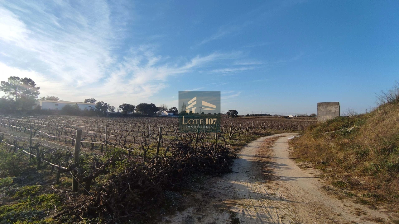 Terreno para Venda em Poceirão e Marateca Foto 6