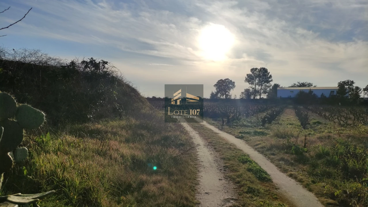 Terreno para Venda em Poceirão e Marateca Foto 8