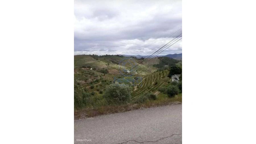 Moradia T2 para Venda em Covas do Douro Foto 2