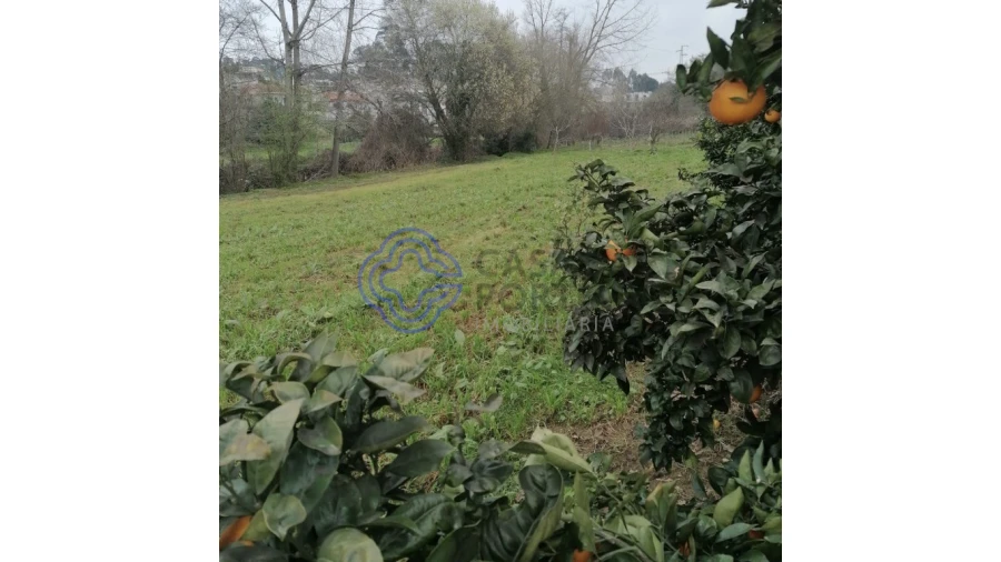 Terreno para Venda em Ermesinde Foto 3