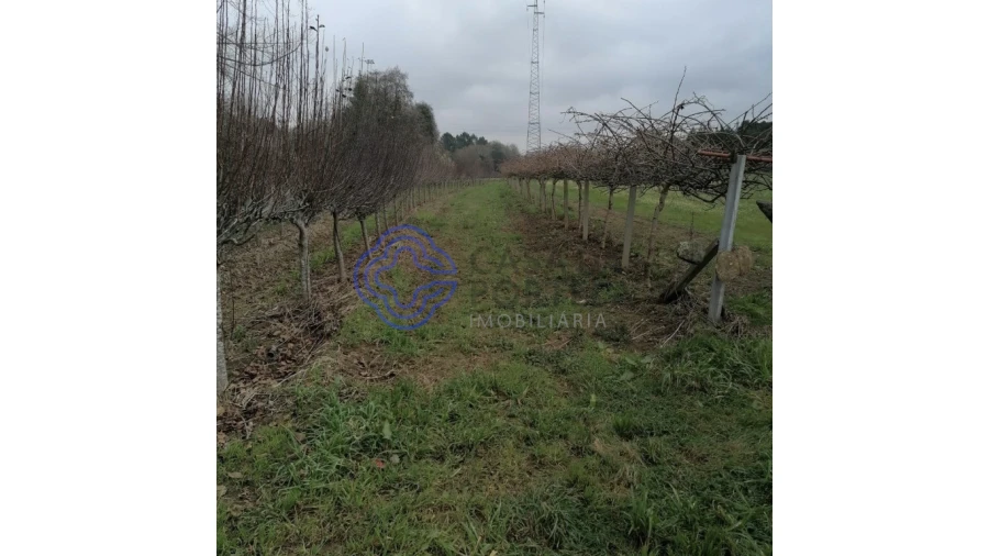 Terreno para Venda em Ermesinde Foto 4