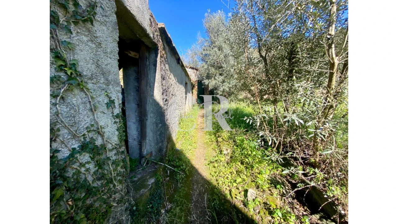 Moradia T3 para Venda em Arega Foto 11