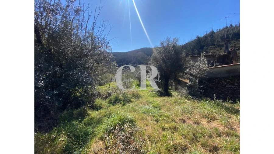 Moradia T3 para Venda em Arega Foto 18