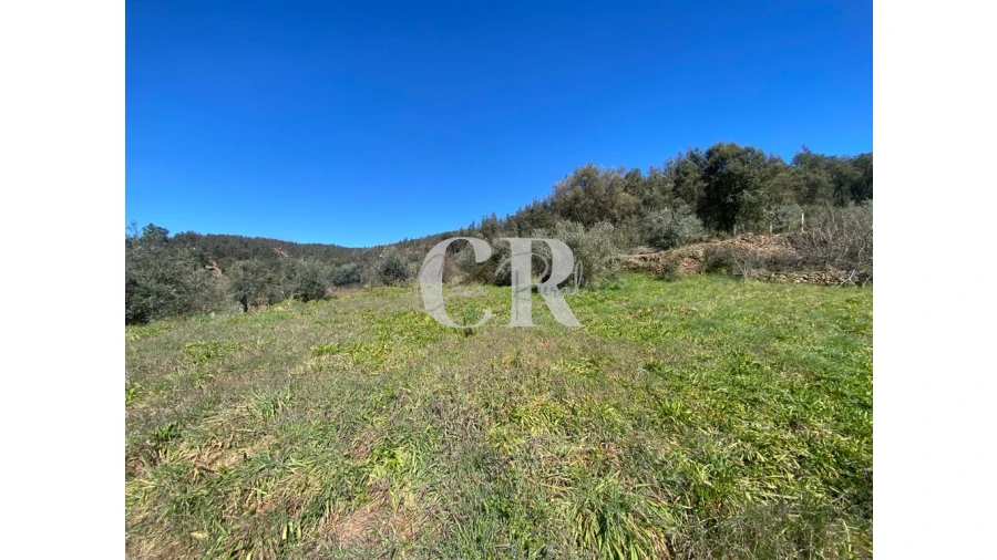 Moradia T3 para Venda em Arega Foto 16