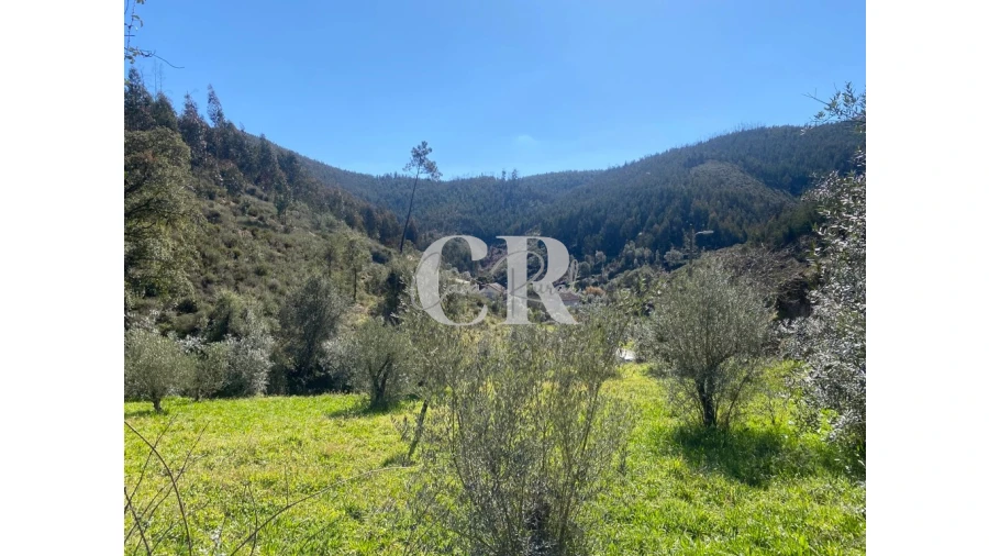 Moradia T3 para Venda em Arega Foto 19