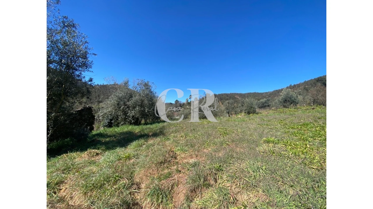 Moradia T3 para Venda em Arega Foto 17