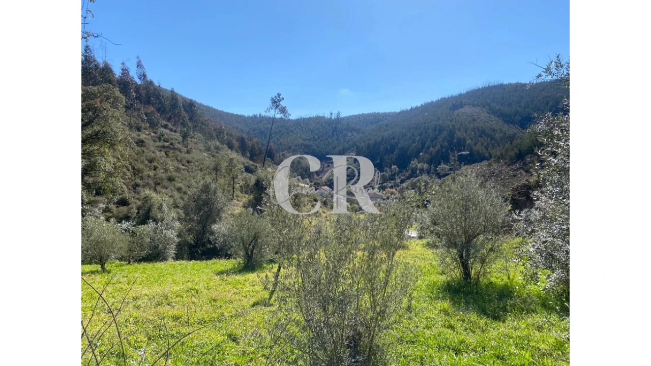 Moradia T3 para Venda em Arega Foto 19