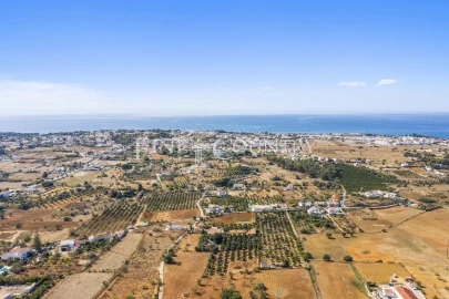 Moradia T4 para Venda em Guia