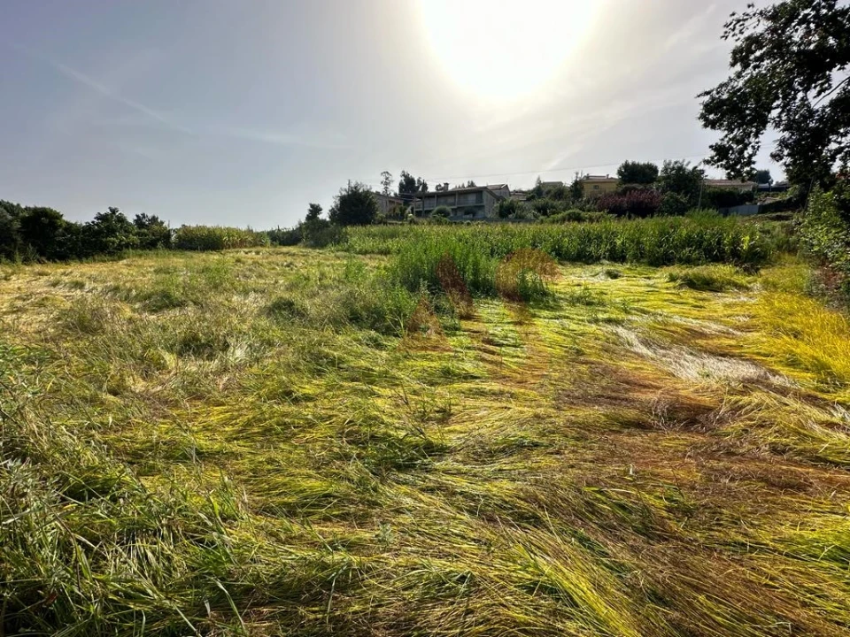 Terreno Agricola ou Rústico para Venda em Vila Fria e Vizela (São Jorge) Foto 2