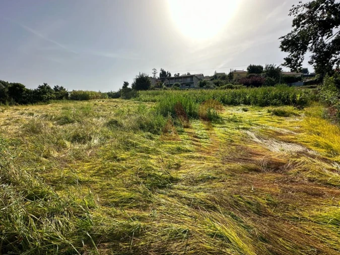 Terreno Agricola ou Rústico para Venda em Vila Fria e Vizela (São Jorge) Foto 2