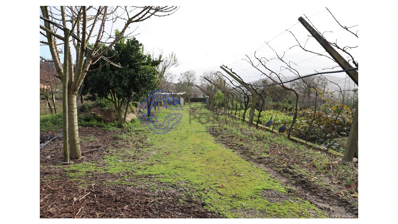 Quinta T3 para Venda em Lagares e Figueira Foto 30