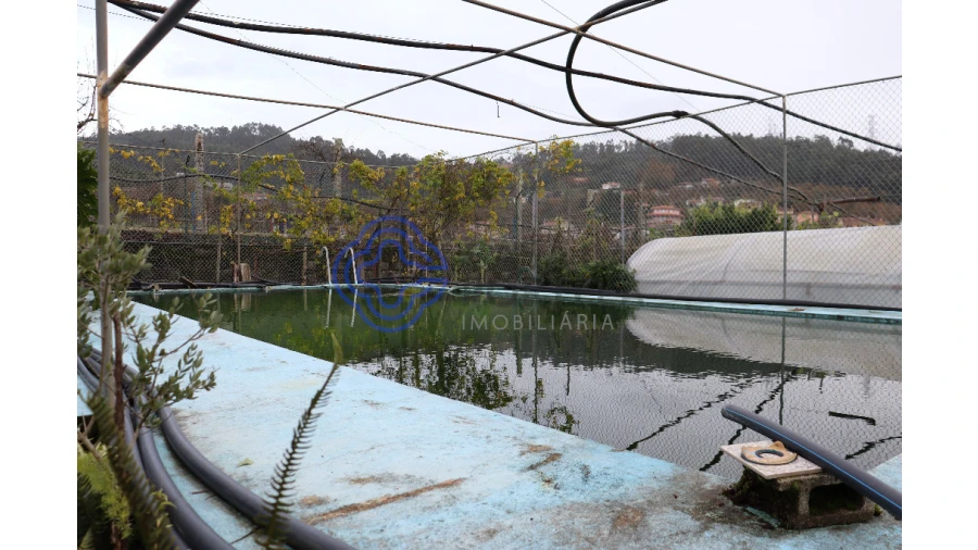 Quinta T3 para Venda em Lagares e Figueira Foto 29