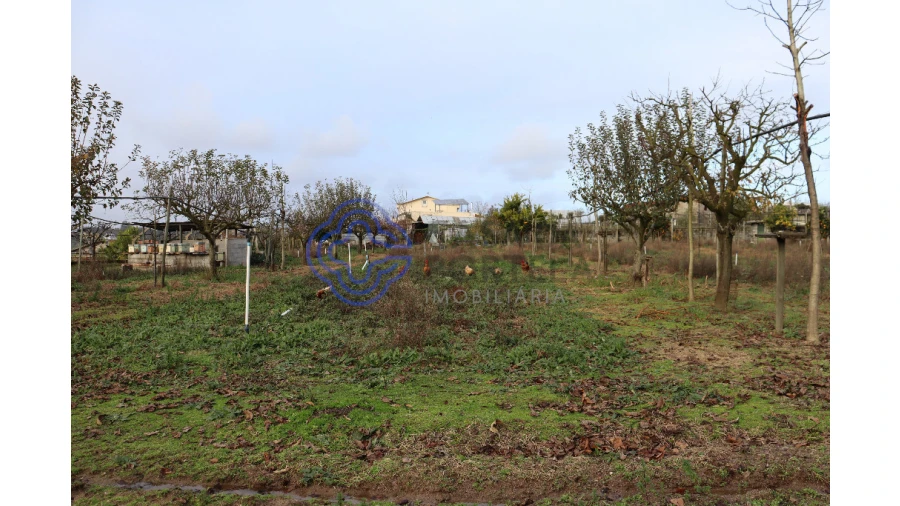 Quinta T3 para Venda em Lagares e Figueira Foto 31