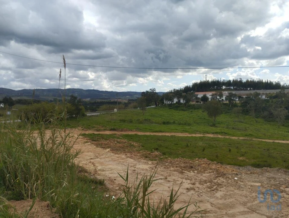 Terreno para Venda em Cadaval e Pêro Moniz Foto 12