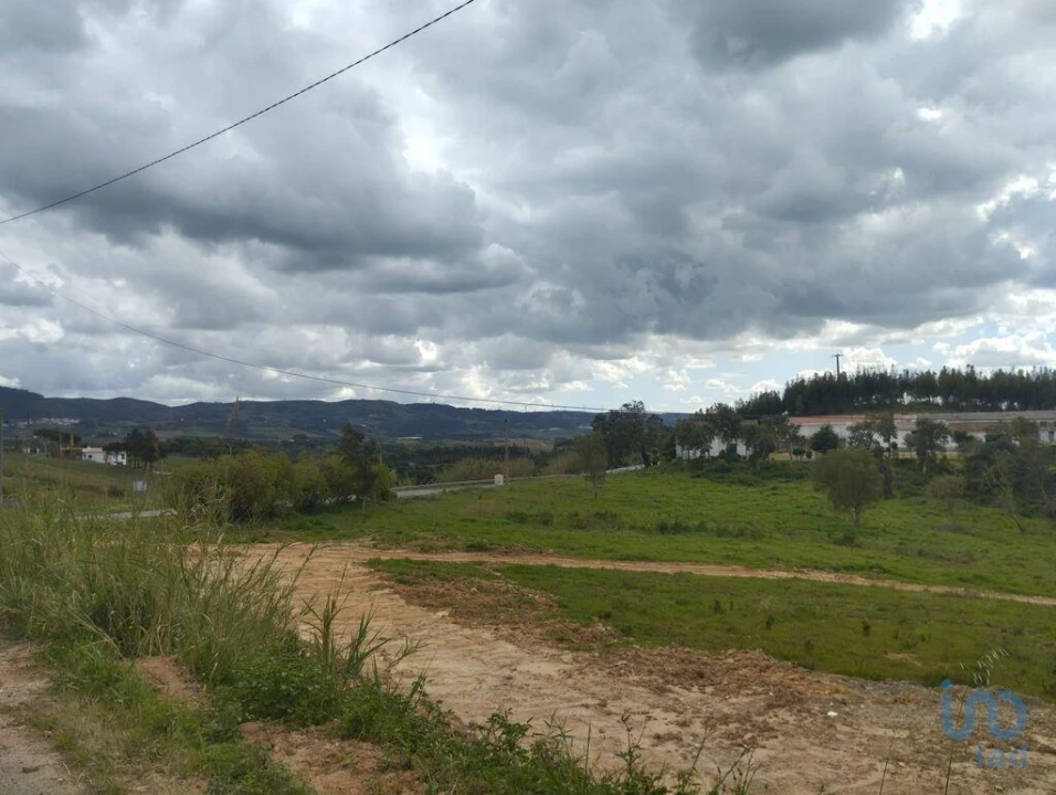 Terreno para Venda em Cadaval e Pêro Moniz Foto 7