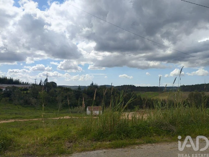 Terreno para Venda em Cadaval e Pêro Moniz Foto 23