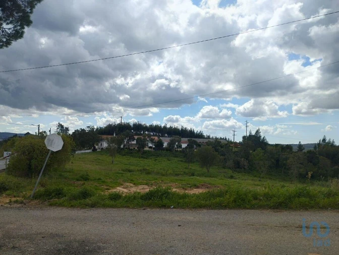 Terreno para Venda em Cadaval e Pêro Moniz Foto 6