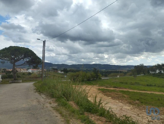 Terreno para Venda em Cadaval e Pêro Moniz Foto 3