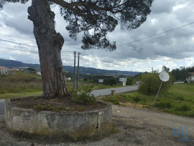 Terreno para Venda em Cadaval e Pêro Moniz Foto 15