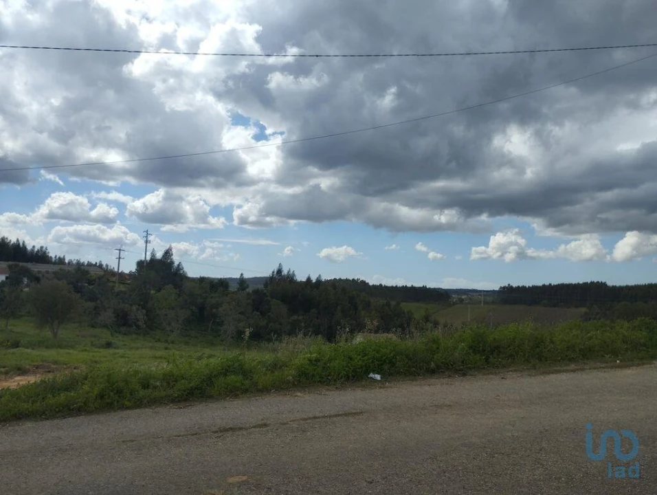 Terreno para Venda em Cadaval e Pêro Moniz Foto 14