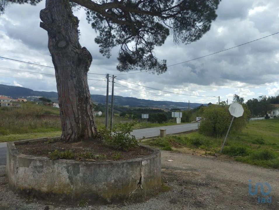 Terreno para Venda em Cadaval e Pêro Moniz Foto 15